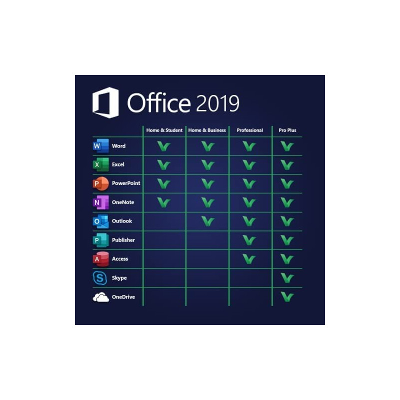 microsoft office 2019 professional plus
